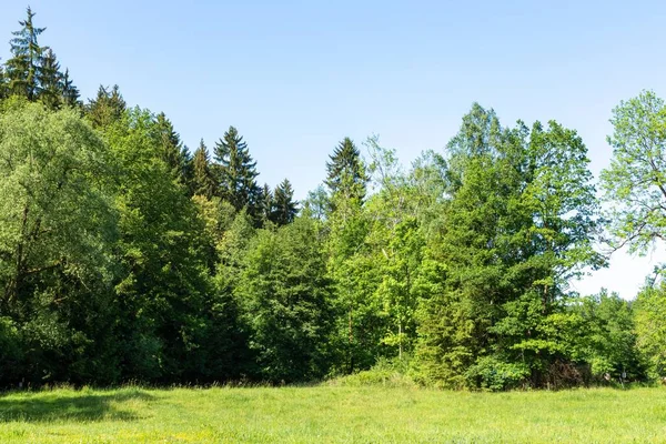 Gyönyörű Zöld Tájkép Tiszta Kék Alatt — Stock Fotó