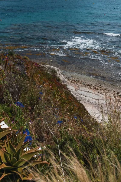 Orilla Del Mar España Con Hierba Primer Plano — Foto de Stock