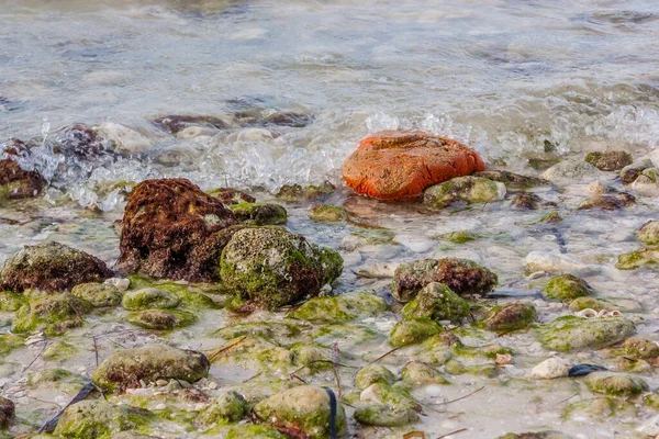 해안에 밖으로 삐져나와 바위들의 — 스톡 사진
