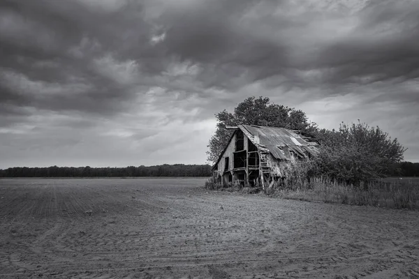 Сірий Знімок Покинутого Сараю Відкритому Полі — стокове фото