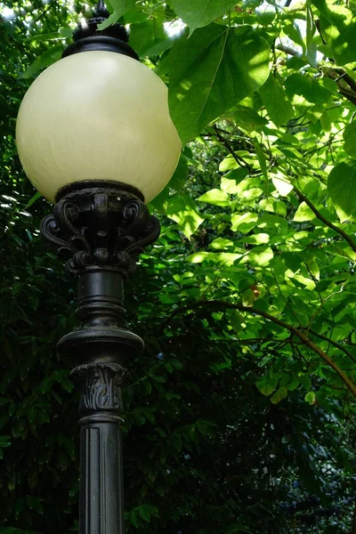 Уличная Лампа Парке Солнечный День — стоковое фото