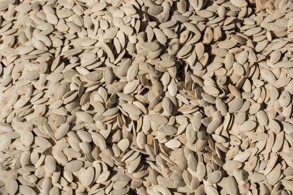 Closeup Shot Pumpkin Seeds — Stock Photo, Image