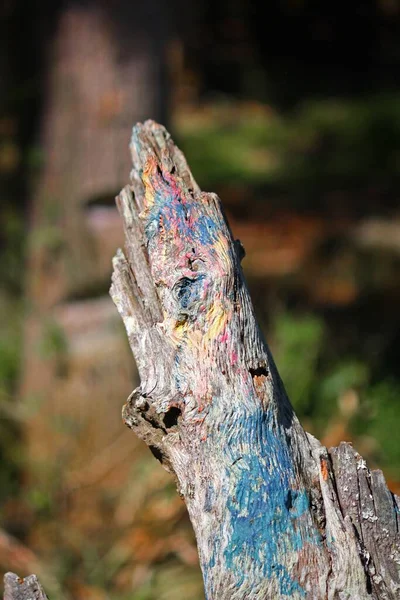 Een Verticaal Shot Van Een Stuk Hout Geschilderd Verschillende Kleuren — Stockfoto