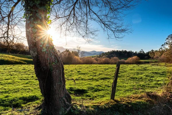 Krajina Poli Pokrytém Zelení Obklopeném Kopci Denního Světla — Stock fotografie