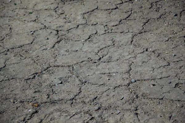 Closeup Shot Wet Soil Ground — Stock Photo, Image