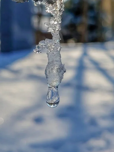 Eine Vertikale Aufnahme Eines Schmelzenden Eiszapfens Mit Verschwommenem Hintergrund — Stockfoto