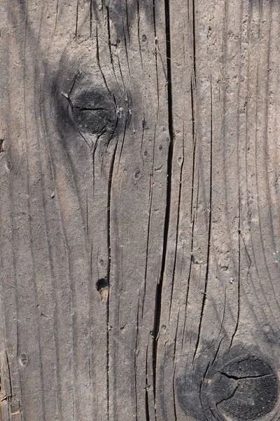 나무껍질의 질감있는 선들을 수직으로 — 스톡 사진
