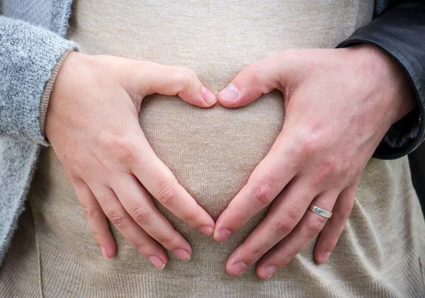 The parents forming a heart on the belly of a pregnant female - parenthood concept
