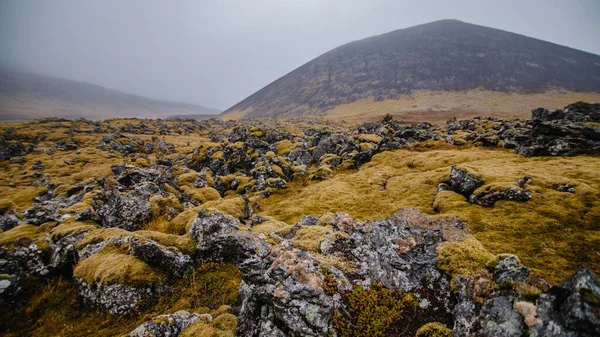 Una Toma Increíble Paisaje Rocoso Parcialmente Cubierto Hierba Tiempo Niebla —  Fotos de Stock