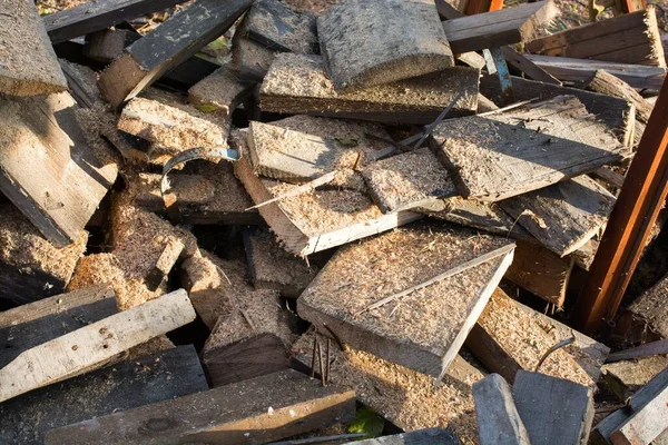 Närbild Bild Skurna Träbitar Marken Solljuset Dagen — Stockfoto