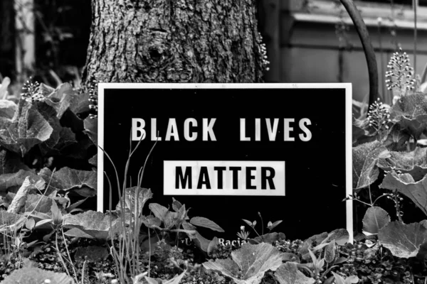 Gråtonebilde Skilt Ved Siden Trestamme Med Teksten Black Lives Matter – stockfoto