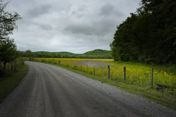 Disparo Camino Tierra Con Alambre Púas Flores Amarillas Lado — Foto de Stock