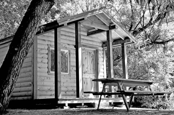 Grayscale Záběr Staré Dřevěné Kabiny Obklopené Krásnými Stromy — Stock fotografie