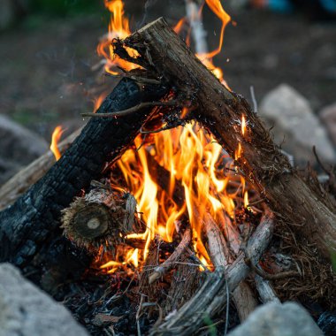 A shot of pieces of woods and branches burning together in a campfire clipart