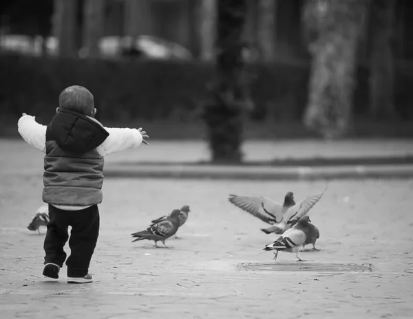 Greyscale Shot Little Child Playing Pigeons Park Daylight — Stock Photo, Image