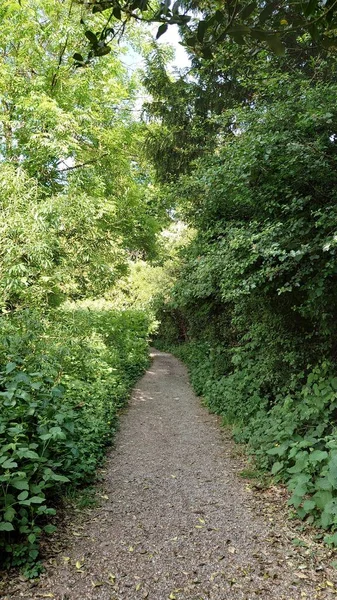 植物や木々に囲まれた美しい通路の垂直ショット — ストック写真