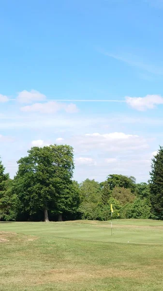 Shot Huge Golfing Court Surrounded Trees — Stock Photo, Image