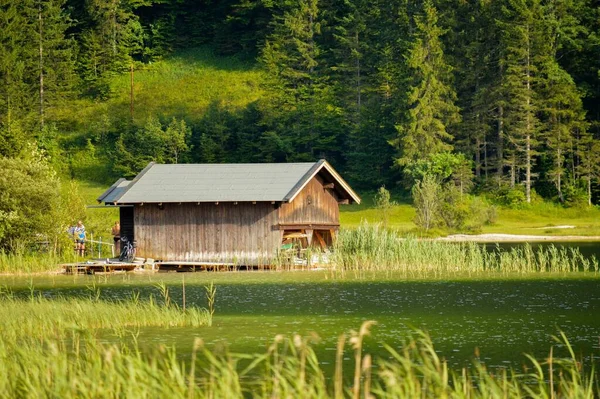 緑の木々の間や湖沿いの小さな木造の家の美しいショット — ストック写真