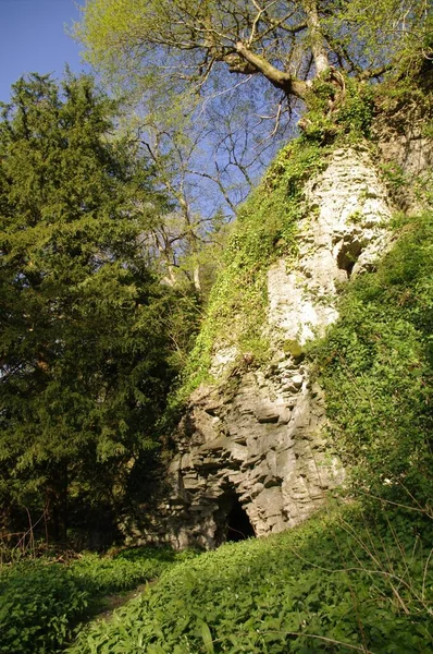 Cueva Roca Del Bosque Durante Día — Foto de Stock