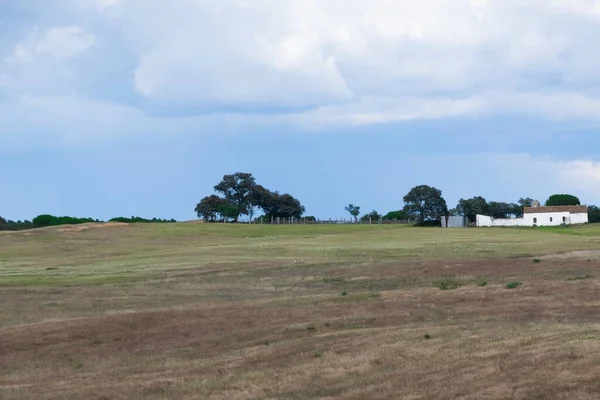 Uno Scenario Buio Una Prateria Vicino Una Casa Bianca — Foto Stock