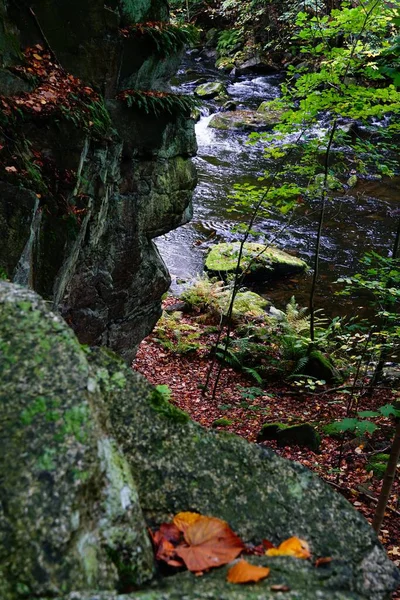Krásný Pohled Řeku Tekoucí Lesem Podzim — Stock fotografie