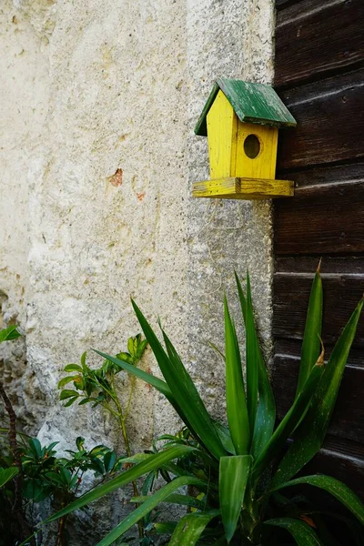 Een Geel Houten Vogelhuisje Tuin — Stockfoto