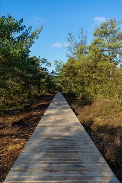 Vertikal Bild Träväg Omgiven Gröna Träd — Stockfoto