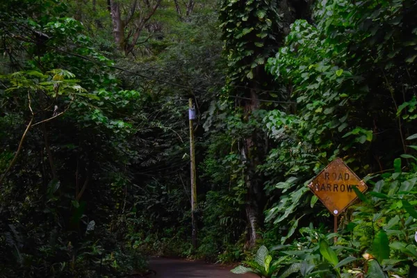 Una Strada Stretta Circondata Una Splendida Vegetazione Nelle Hawaii Oahu — Foto Stock