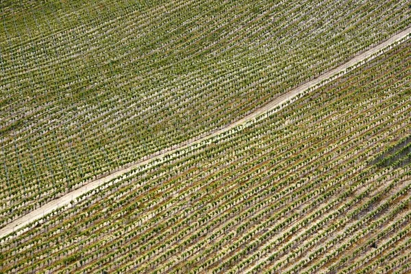 Wysokie Ujęcie Kąta Pola Rolniczego Ciągu Dnia — Zdjęcie stockowe