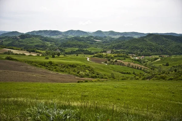 Eine Schöne Landschaft Einer Grünen Landschaft Mit Vielen Bäumen Und — Stockfoto