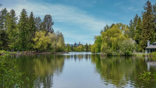 Beautiful Landscape Shot Green Lake Surrounded Trees Peaceful Sky — Stock Photo, Image