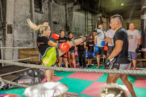 Kamnik Slovenia 2019年8月7日 強力で若いボクサーは ボクシングの手袋を着用し 競争のためのレクリエーションワークアウト — ストック写真