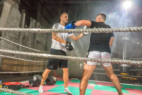 Kamnik Eslovenia 2019 Poderosos Jóvenes Boxeadores Usan Guantes Boxeo Entrenamiento — Foto de Stock