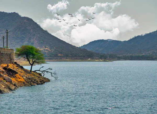 Incrível Tiro Lago Cercado Por Montanhas Cobertas Por Árvores — Fotografia de Stock