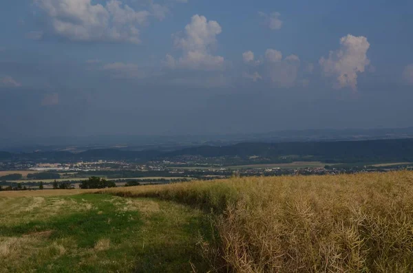 Uma Grande Paisagem Coberta Grama Sob Céu Cheia Nuvens — Fotografia de Stock