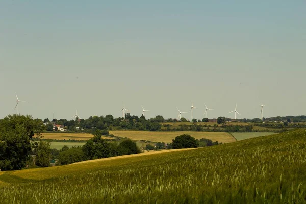 Poziome Ujęcie Pięknego Zielonego Pola Turbinami Wiatrowymi Widocznymi Oddali — Zdjęcie stockowe