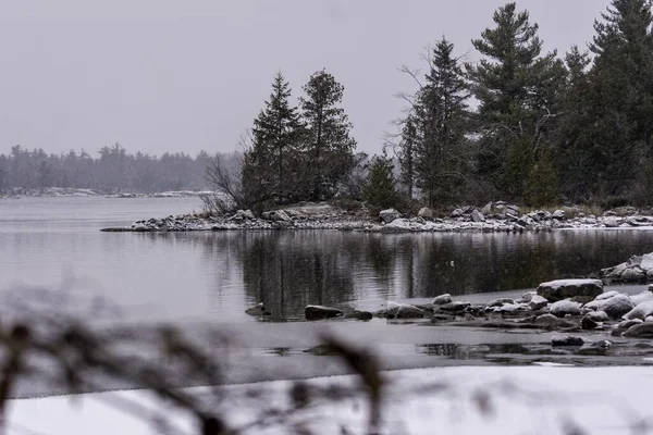Uma Bela Foto Morris Island Conservation Durante Inverno — Fotografia de Stock