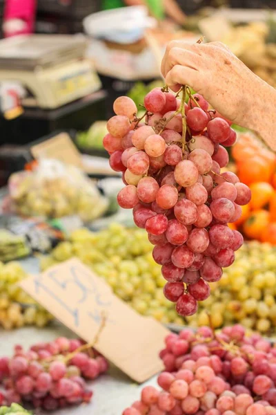 Pionowe Ujęcie Wybiórcze Kobiecej Ręki Trzymającej Fioletowe Winogrona Rynku — Zdjęcie stockowe