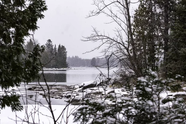 Eine Schöne Aufnahme Von Morris Island Conservation Winter — Stockfoto