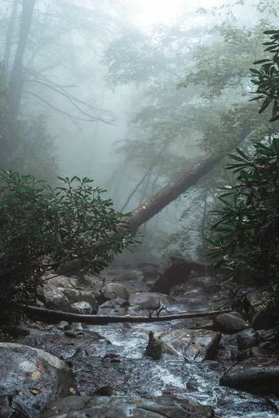 Vacker Natur Klippformationer Floden Skog Med Dimmig Bakgrund — Stockfoto