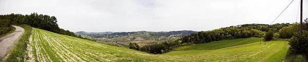 Uma Bela Paisagem Uma Paisagem Verde Com Monte Árvores Montanhas — Fotografia de Stock