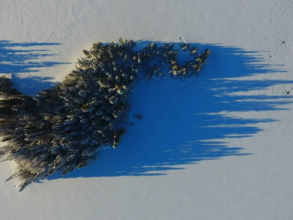 Widok Lotu Ptaka Śnieżny Krajobraz Częściowo Pokryty Gęstymi Drzewami — Zdjęcie stockowe