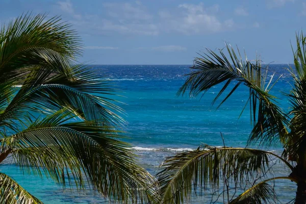 Piękna Sceneria Spokojnego Morza Tropikalnymi Roślinami Pierwszym Planie — Zdjęcie stockowe