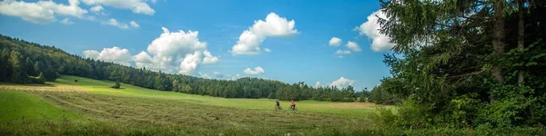 斯洛维尼亚的一个间歇性湖泊Cerknica湖 一片倾斜的草场 四周环绕着树木 — 图库照片