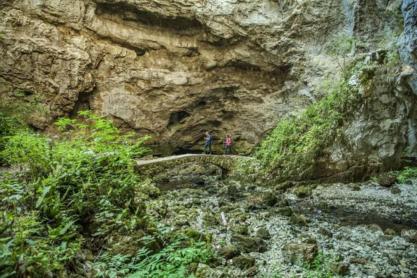 A small bridge over a stream of water along a hiking trail at Rakov Skocjan in Slovenia