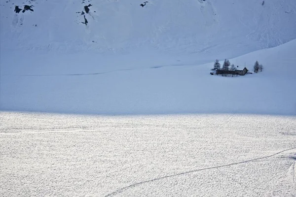 Vacker Natur Stuga Omgiven Träd Ett Snöigt Område — Stockfoto