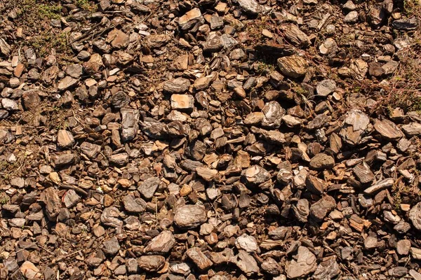 Suelo Tierra Cubierto Con Fragmento Mantillo Compost Como Fondo Texturizado —  Fotos de Stock