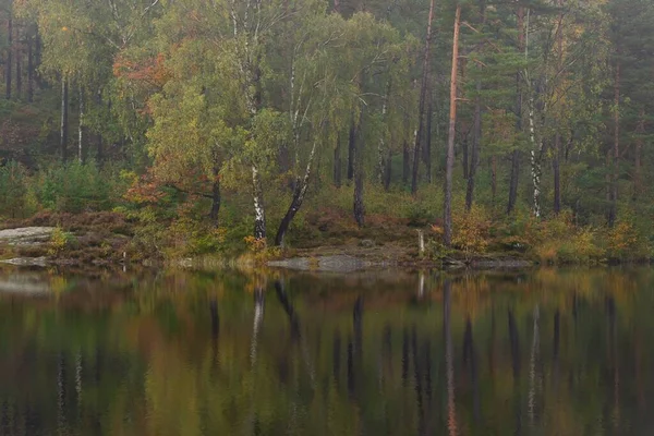 Niesamowite Ujęcie Refleksyjnej Powierzchni Jeziora Tle Drzew — Zdjęcie stockowe