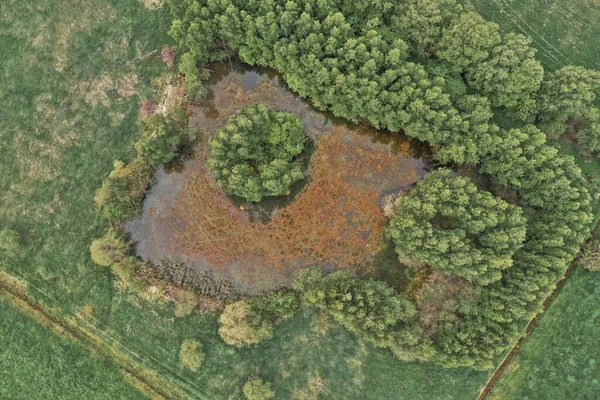 Tiro Aéreo Uma Lagoa Enlameada Com Uma Pequena Ilha Meio — Fotografia de Stock