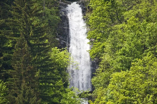 Eine Wunderschöne Landschaft Von Einem Mächtigen Wasserfall Umgeben Von Viel — Stockfoto